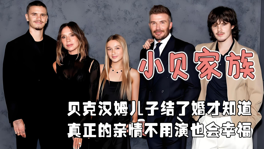 终南山小猫排排坐,费 2025澳门天天开好彩大全 管家婆一码一,经典解释落实_铂金版V10.91
